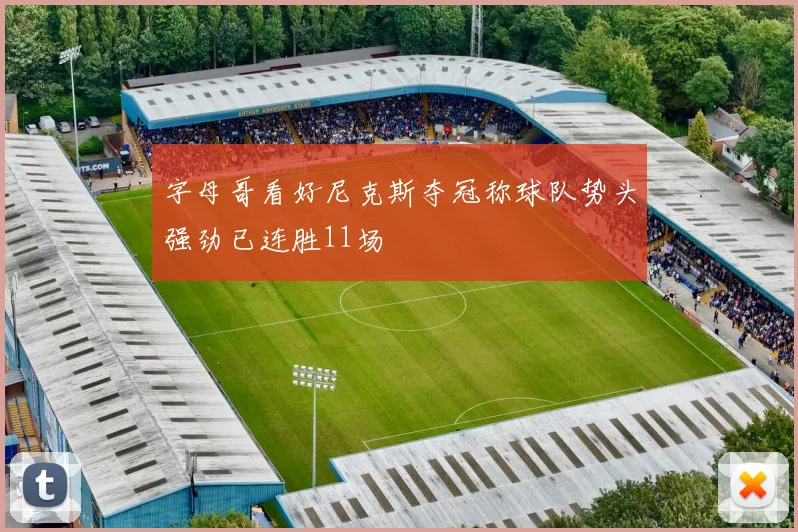 字母哥看好尼克斯夺冠称球队势头强劲已连胜11场