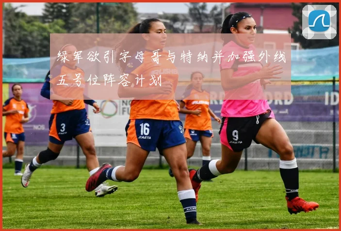 绿军欲引字母哥与特纳并加强外线五号位阵容计划