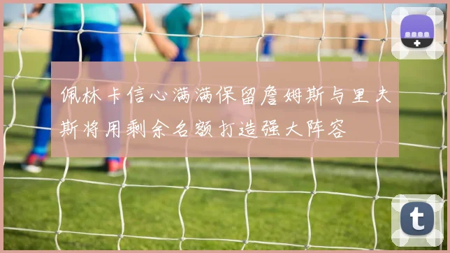 佩林卡信心满满保留詹姆斯与里夫斯将用剩余名额打造强大阵容